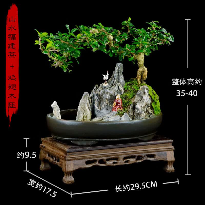 水叶圆 相关京东优惠商品人气降序 价格图片品牌优惠券 虎窝购