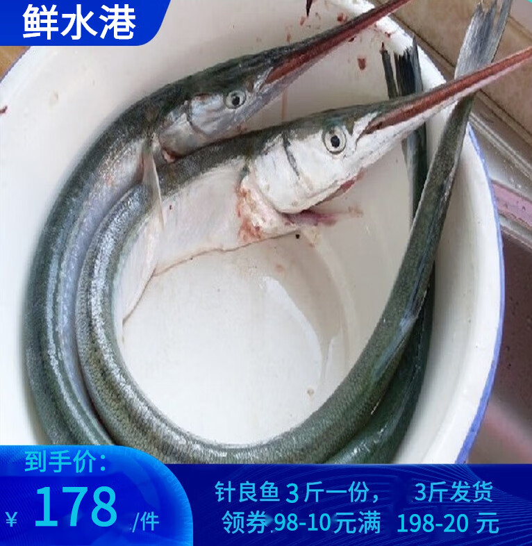 鲜水港海捕新鲜针良鱼海鲜水产冰鲜青针鱼青条杆子鱼银水针鱼绿刺鱼