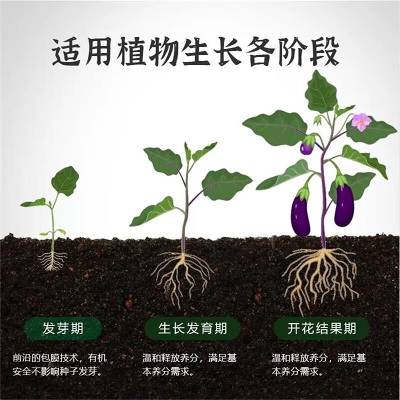 植物营养片花肥料复合肥通用型花肥开花好运颗粒1瓶懒人适合缓释肥控释肥颗粒浇好运棒 1瓶 22片 适合懒人主图4