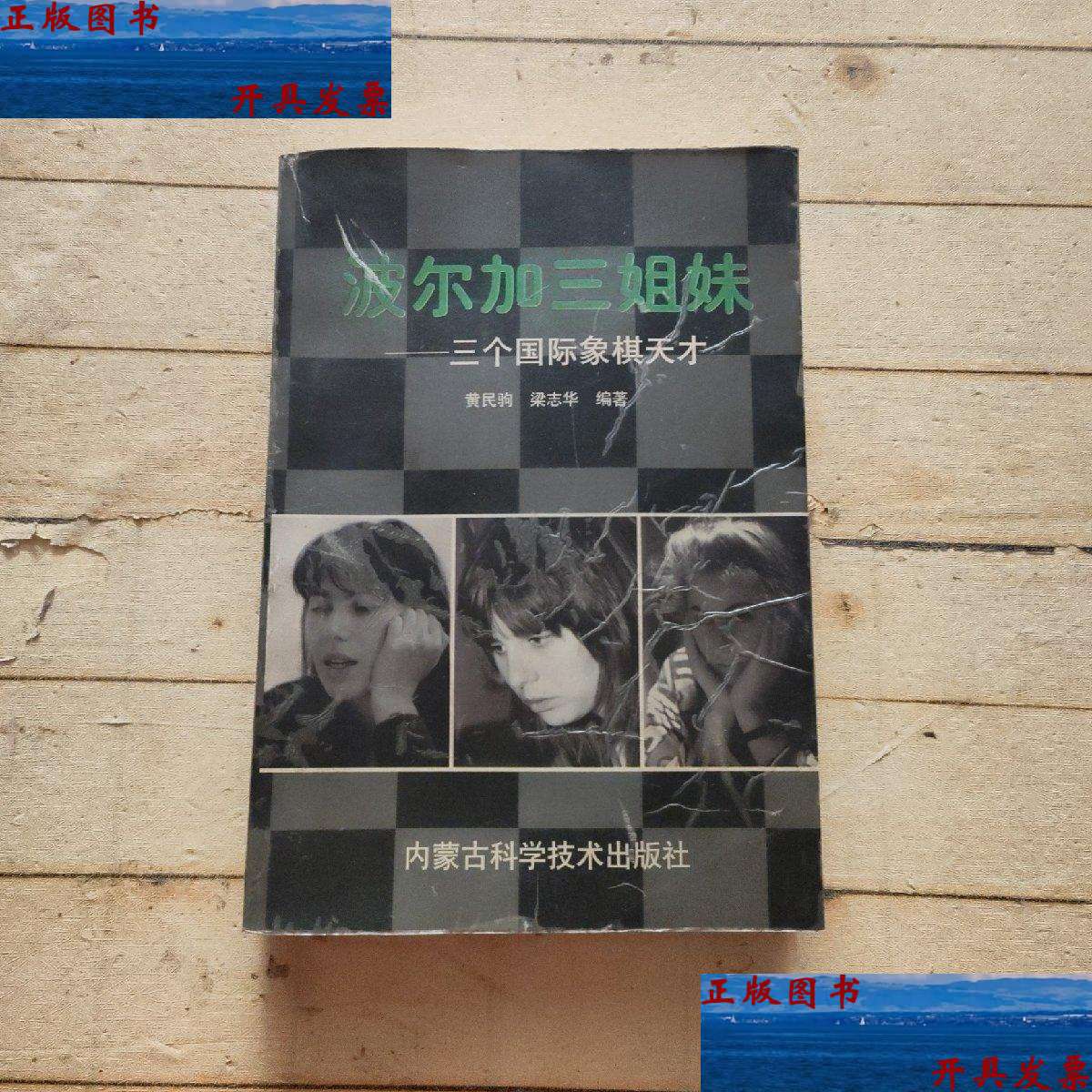 【二手9成新】波尔加三姐妹:三个国际象棋天才 /黄民驹 内蒙古科学
