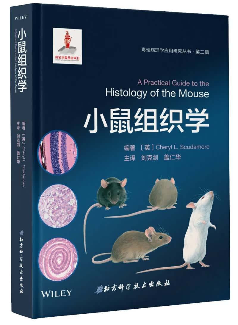 小鼠组织学