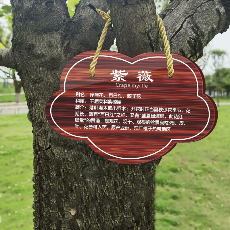 麦桑荷树牌挂牌学校公园不锈钢插地牌子植物绿化信息牌铭牌树木介绍