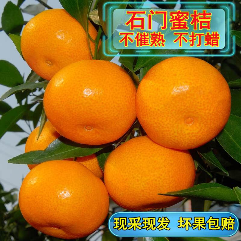 石门秀坪柑橘湖南早熟品质成熟薄皮无核现摘新鲜送人蜜橘石门蜜桔 60mm-65mm大果 9斤带箱10斤装 京东折扣/优惠券