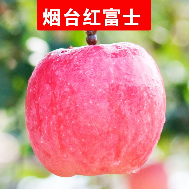 那座山烟台苹果水果栖霞红富士新鲜果山东特产脆甜整箱生鲜送礼礼盒 净重4.5斤75-80mm 仅19.9元 那座山烟台苹果水果栖霞红富士新鲜果山东特产脆甜整箱生鲜送礼礼盒 净重4.5斤75-80mm 仅19.9元