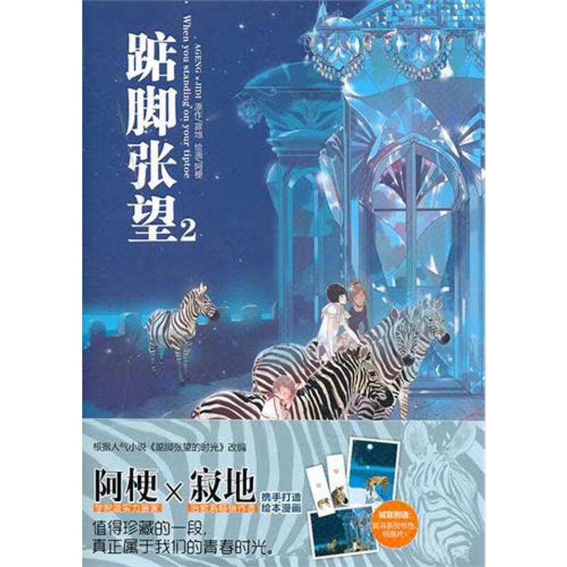 踮脚张望2 寂地 书籍