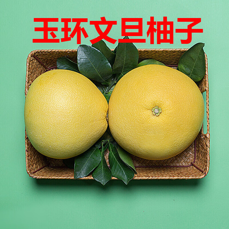 玉环新鲜文旦柚子正宗台州楚门当季新鲜现摘柚子柚白蜜柚生鲜 15斤