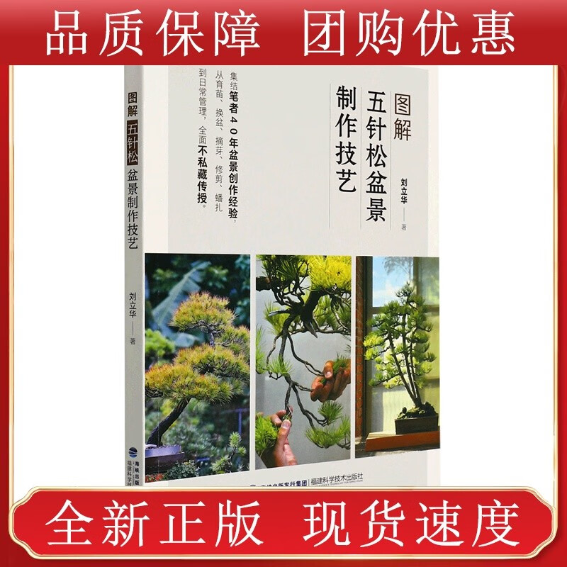 图解五针松盆景制作技艺