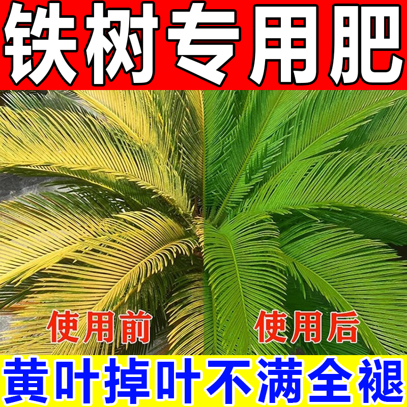 铁树专用肥料硫酸亚铁防叶子发黄营养液喜酸植物花卉盆栽通用型 【铁树专用肥】单瓶