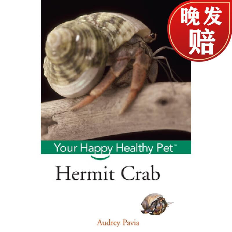 【4周达】hermit crab: your happy healthy pet
