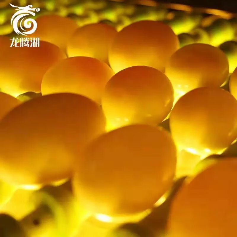 蔡喜利龙腾湖农牧河套咸鸭蛋黑龙江齐齐哈尔富裕县正宗流油礼盒装