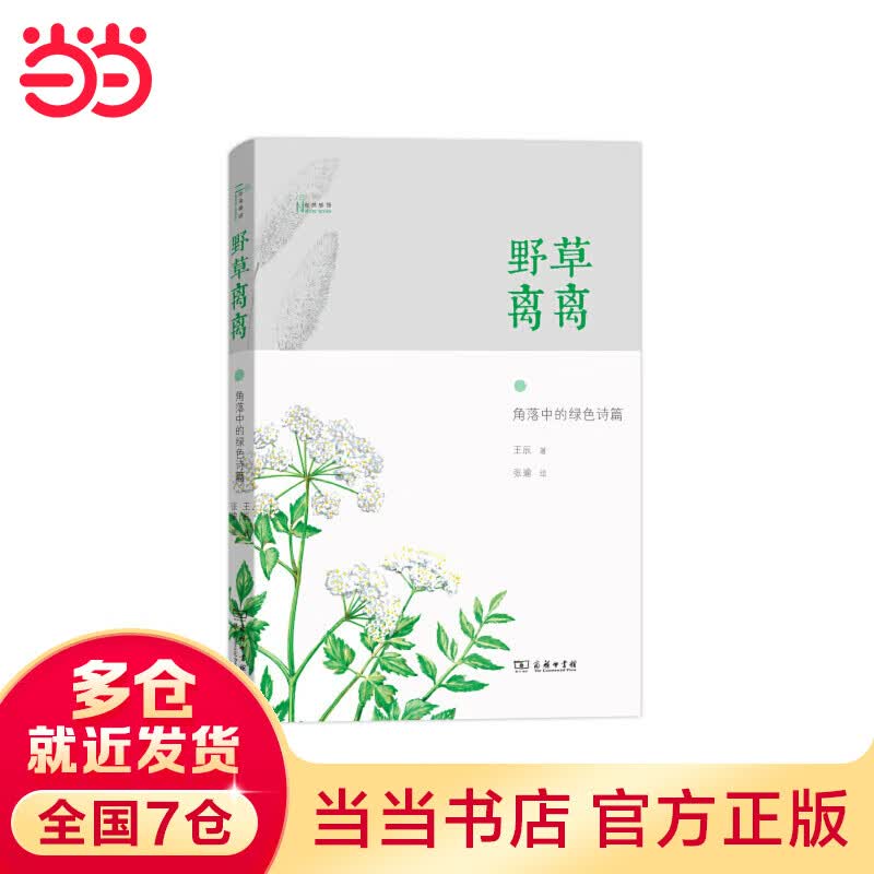 野草离离——角落中的绿色诗篇