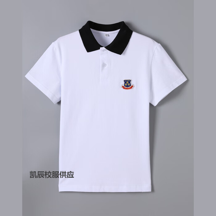 中学校服教育光正实验高中初中惠州揭阳学生新款 光正教育女生短袖t恤