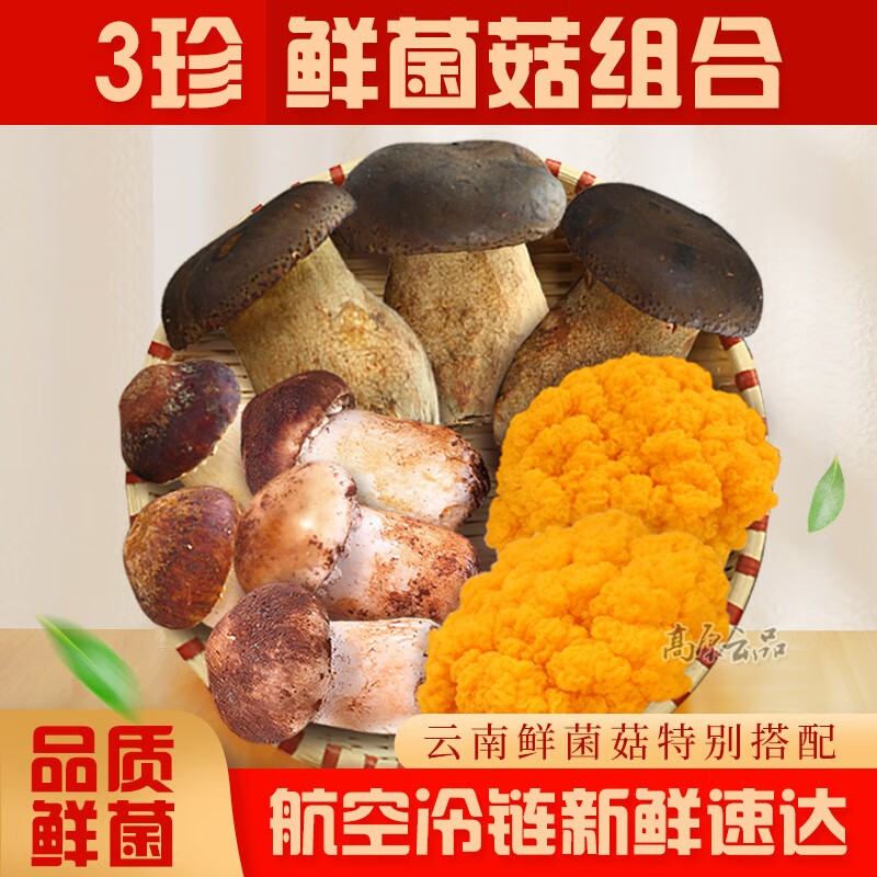 高原云品【鲜菌菇蔬菜包】赤松茸 黑牛肝菌 金耳 三种鲜菌组合装火锅食材 1000克