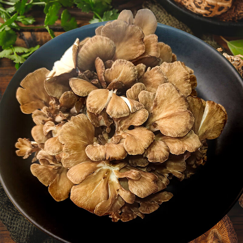 古松新鲜灰树花 食用菌菇蘑菇炒菜煲汤食材福建特产当季新货 450g