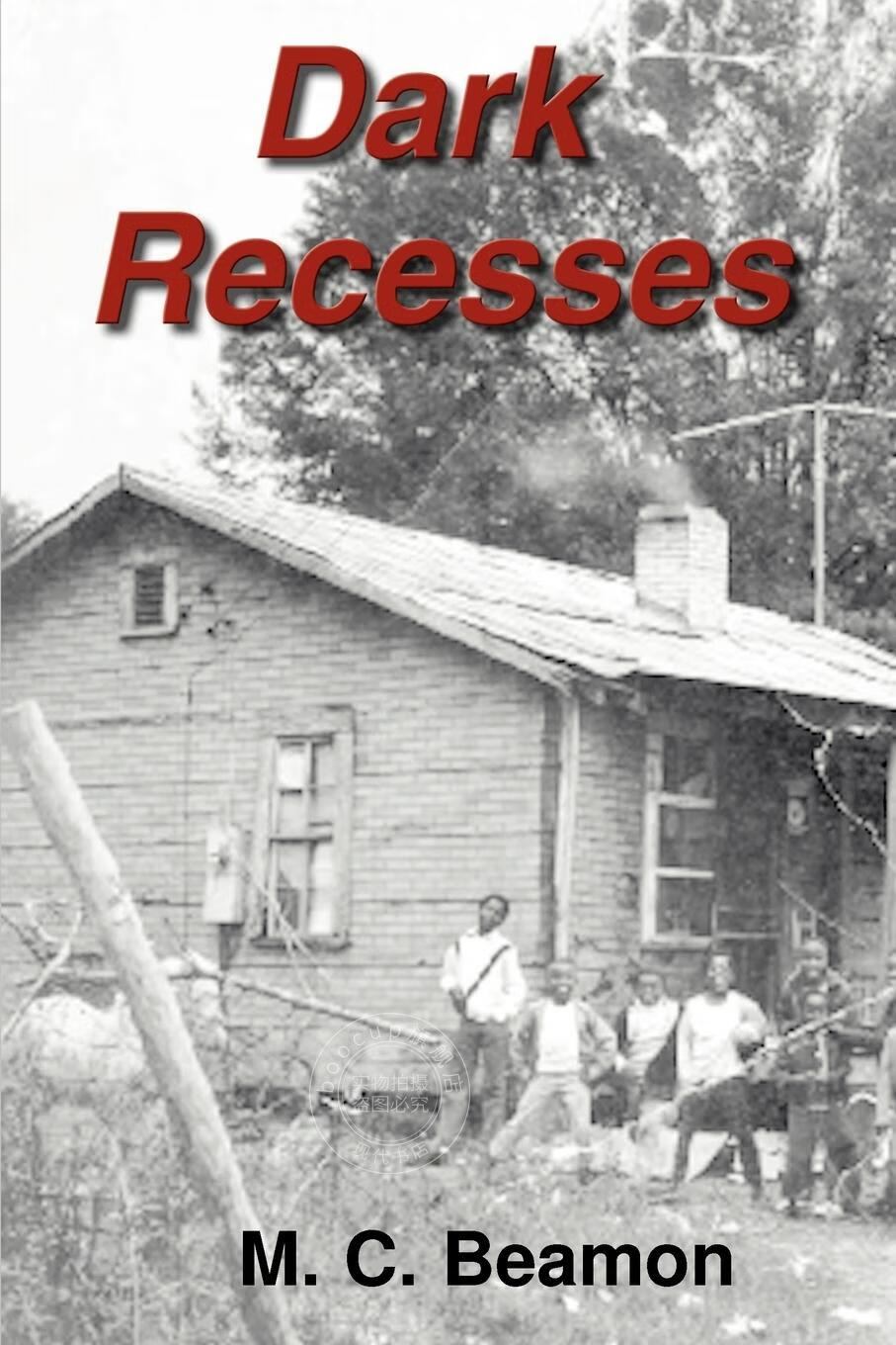 【2周达】预售 按需印刷 dark recesses