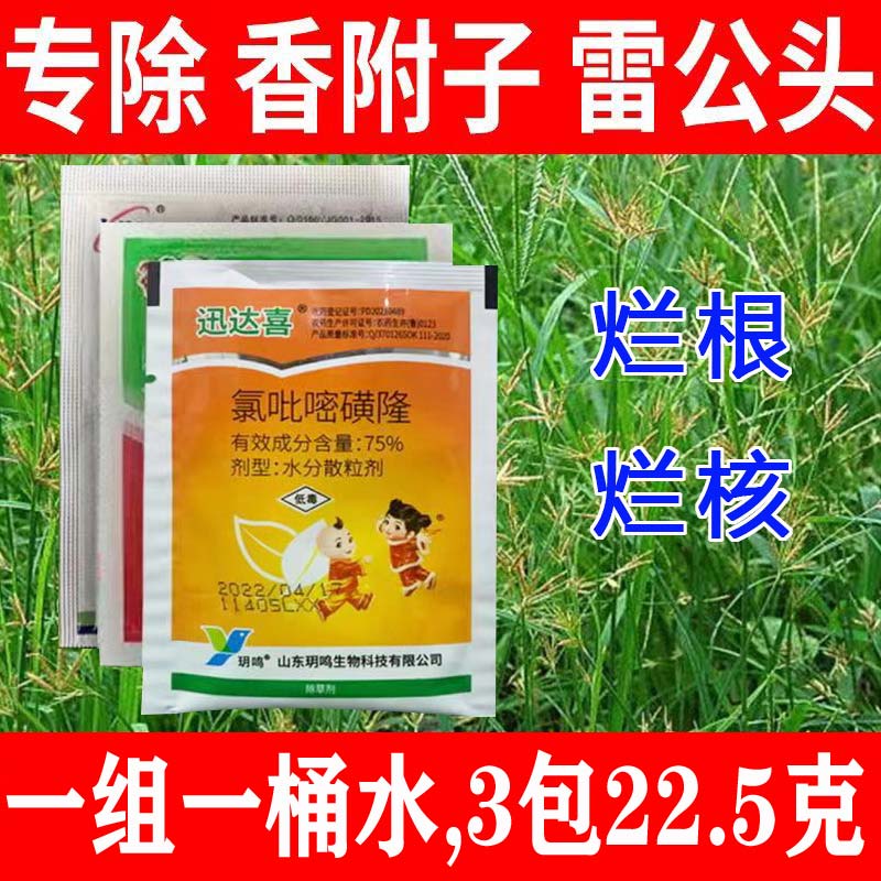 香附子除草剂烂根剂强力一扫光氯吡嘧磺隆玉米阔叶草莎草专用农药 22.