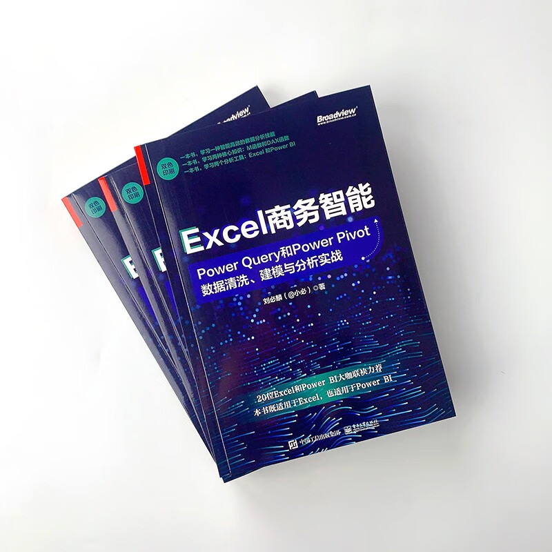 Excel商务智能：Power Query和Power Pivot数据清洗、建模与分析实战
