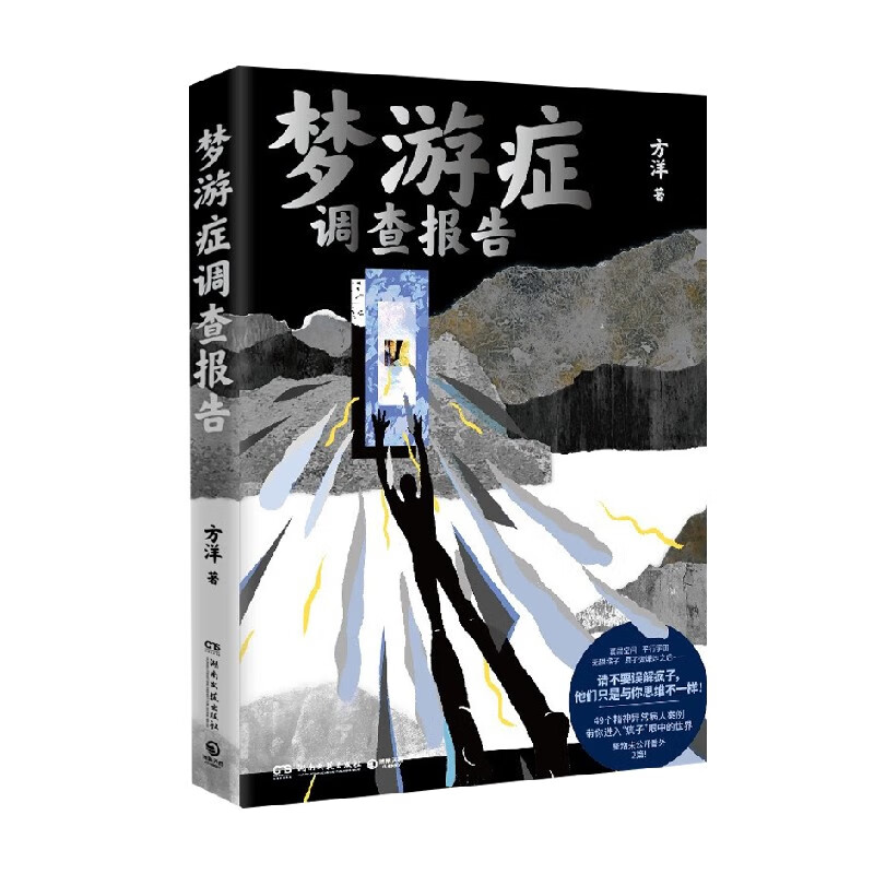 梦游症调查报告 方洋 著 小说