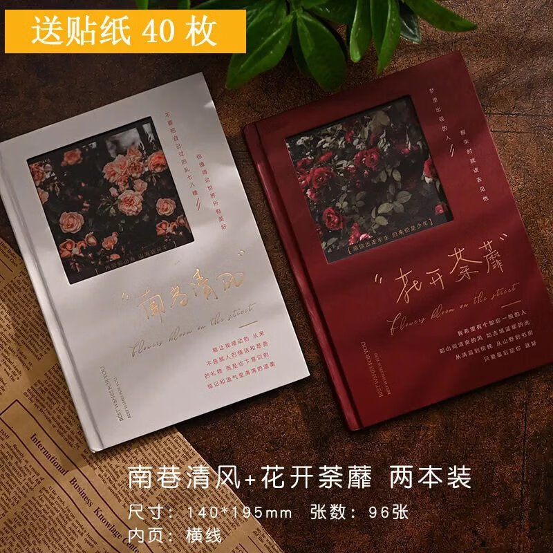 横线记事本笔记本厚本本子高颜值手账本 花开荼蘼 南巷清风丨2本装