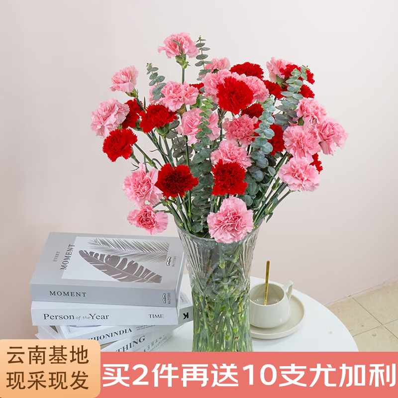 简势（jianshi）品质鲜花玫瑰花康乃馨百合向日花束云南昆明基地直发 康乃馨10枝-随机色