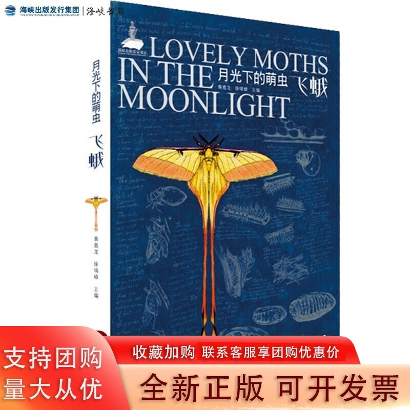 月光下的萌虫——飞蛾 黄嘉龙徐堉峰 昆虫