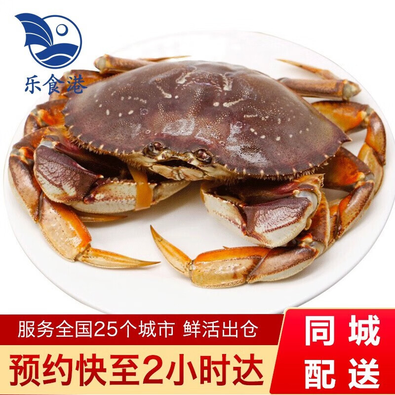 乐食港 鲜活珍宝蟹大螃蟹（700-800g/1只）加拿大进口太子蟹海鲜水产