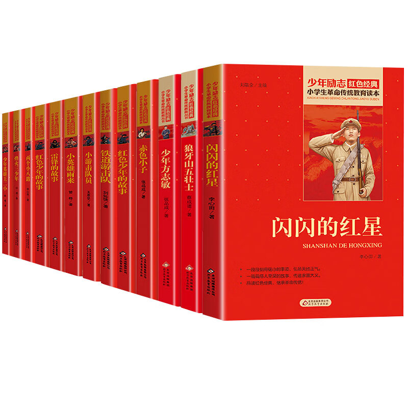 红色经典书籍全套10册小英雄雨来闪闪的红星铁道游击队雷锋的故事小