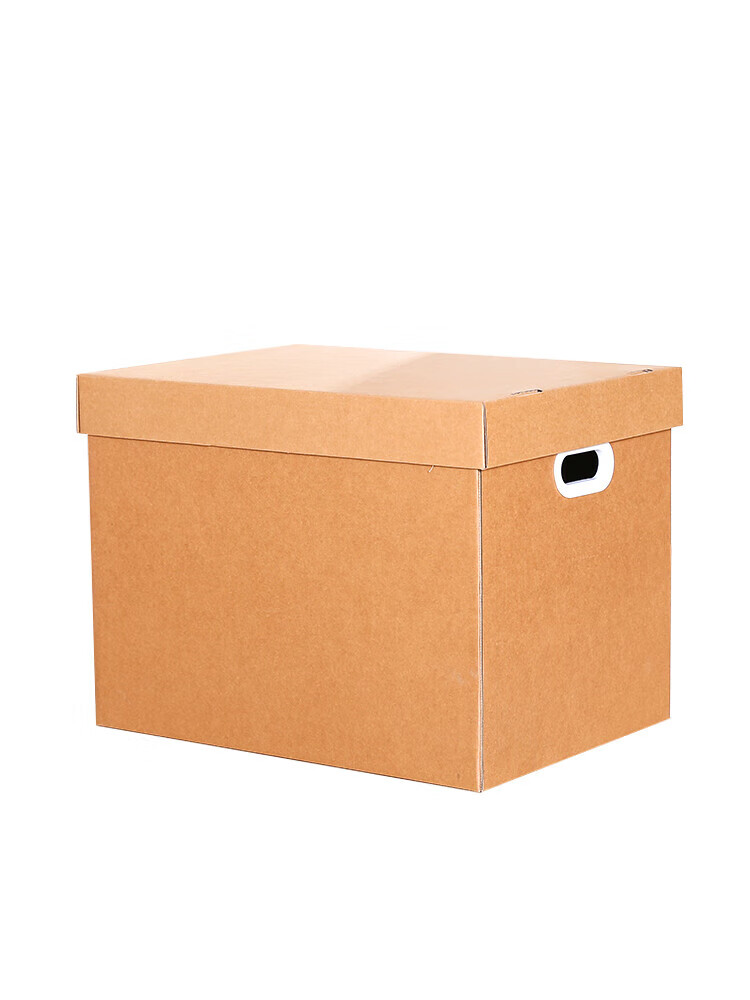 泰瑞格牛皮纸质收纳箱搬家用纸箱文件收纳盒零食书箱整理装书 1号27*