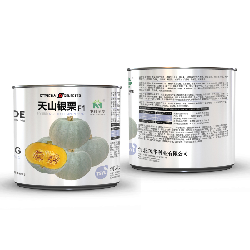 strictly selected中科茂华蔬菜种子天山银栗南瓜种子新疆板栗南瓜
