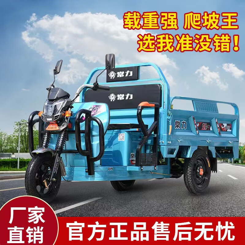 水共王俞 品牌电动三轮车载重王拉货快递车电瓶车农用货车 (1.5*1.