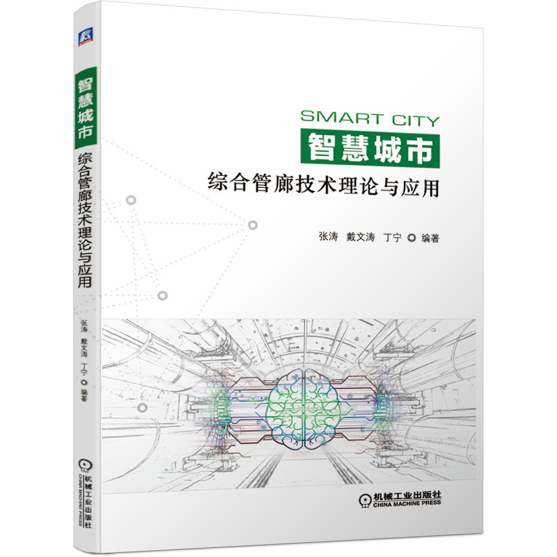 官网正版 智慧城市综合管廊技术理论与应用 张涛 戴文涛 丁宁 智能巡检机器人 物联网 全寿命周期 经济分析