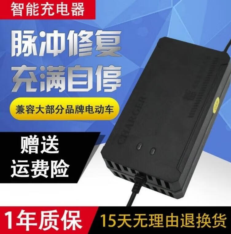 天南兄弟（TNBROTHERS）适用于电动车充电器铅酸电池电瓶车自动停止48V60V72V64V20A通用 充电红灯充满绿自动停止 48V12AH 三孔通用T孔