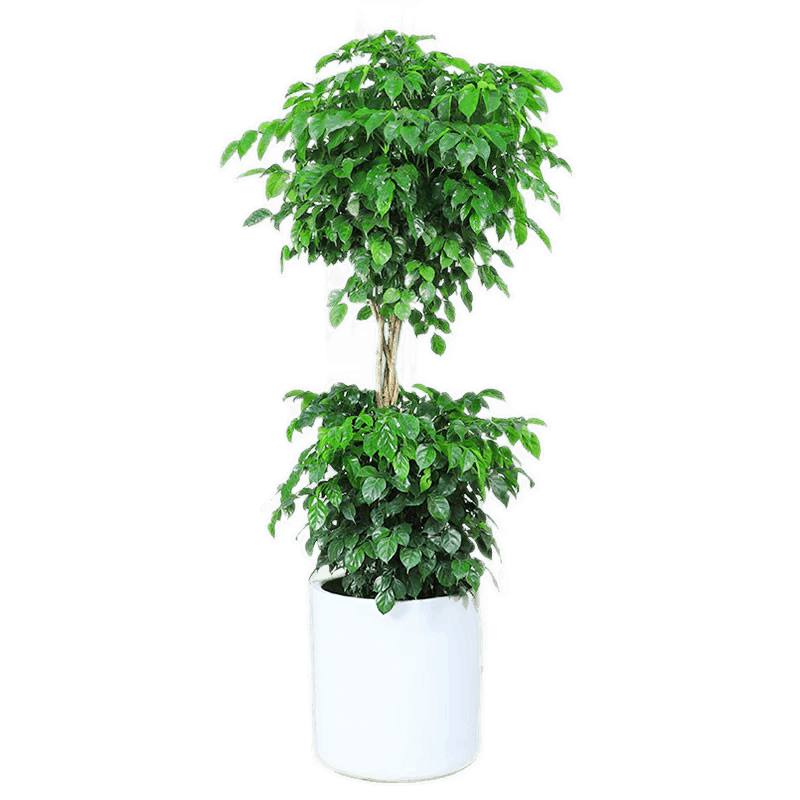 Only youСʱ̱˫ҸԸǨ˾ſ ҸB