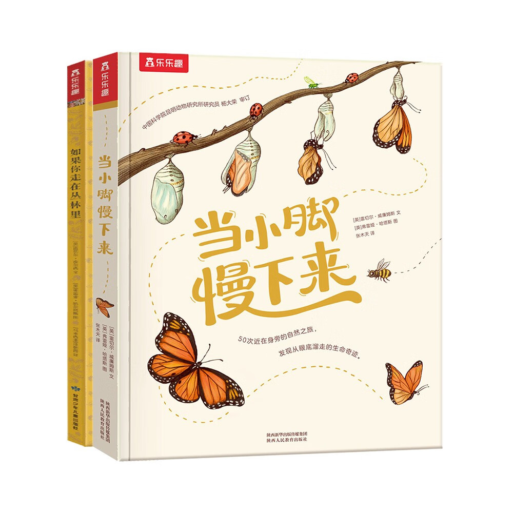 当小脚慢下来+如果你走在丛林里（套装2册）唯美治愈自然系科普绘本[3-6岁]Gucci 御用插画高性价比高么？