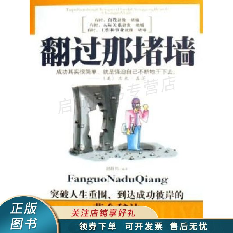 翻过那堵墙 赵静伟