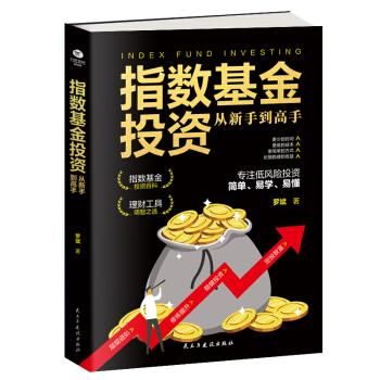 指数基金投资从新手到高手 罗斌