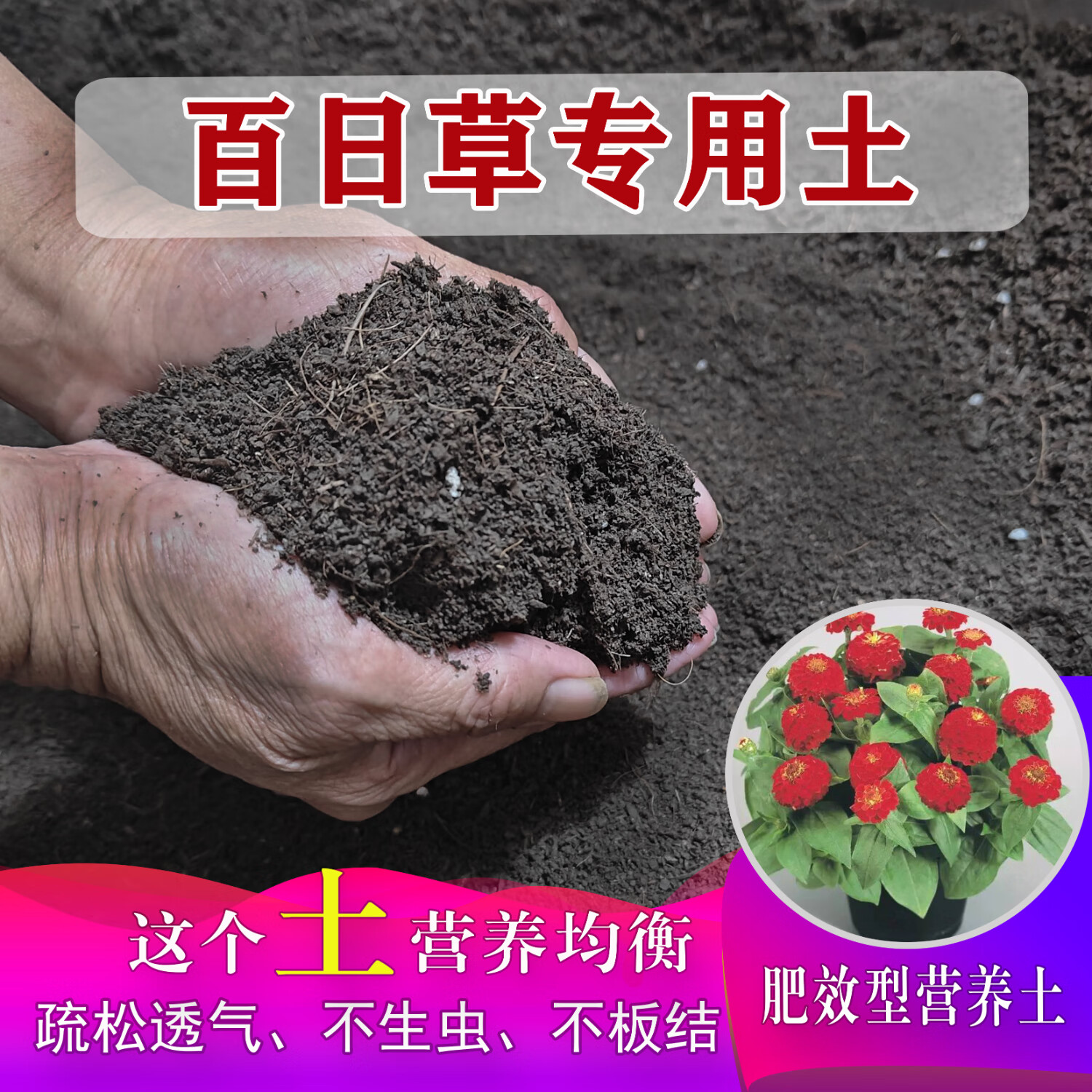 百日草专用家用阳台种菜种植土百日草营养土种花有机土盆栽土 百日草