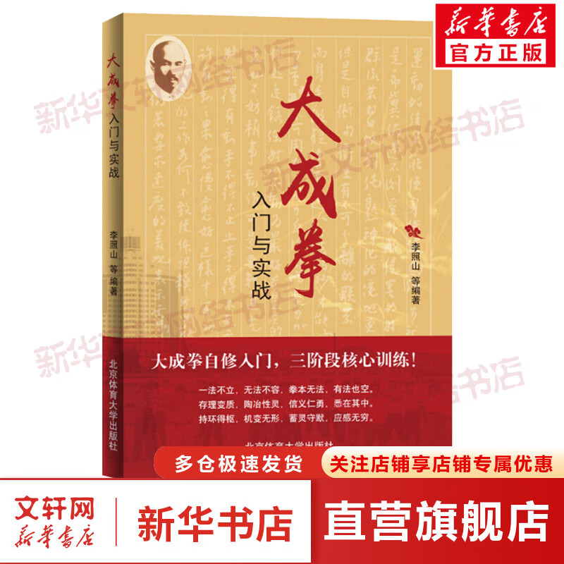 大成拳入门与实战