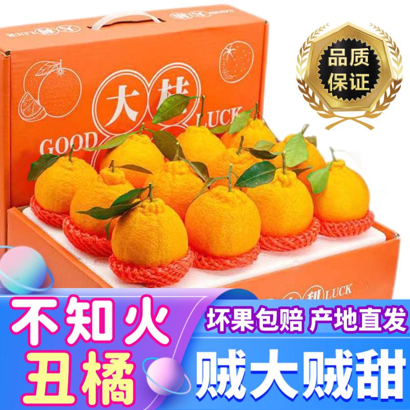 融暖(rongnuan)丑橘 不知火 四川 桔子柑橘水果 坏果必赔 产地现摘