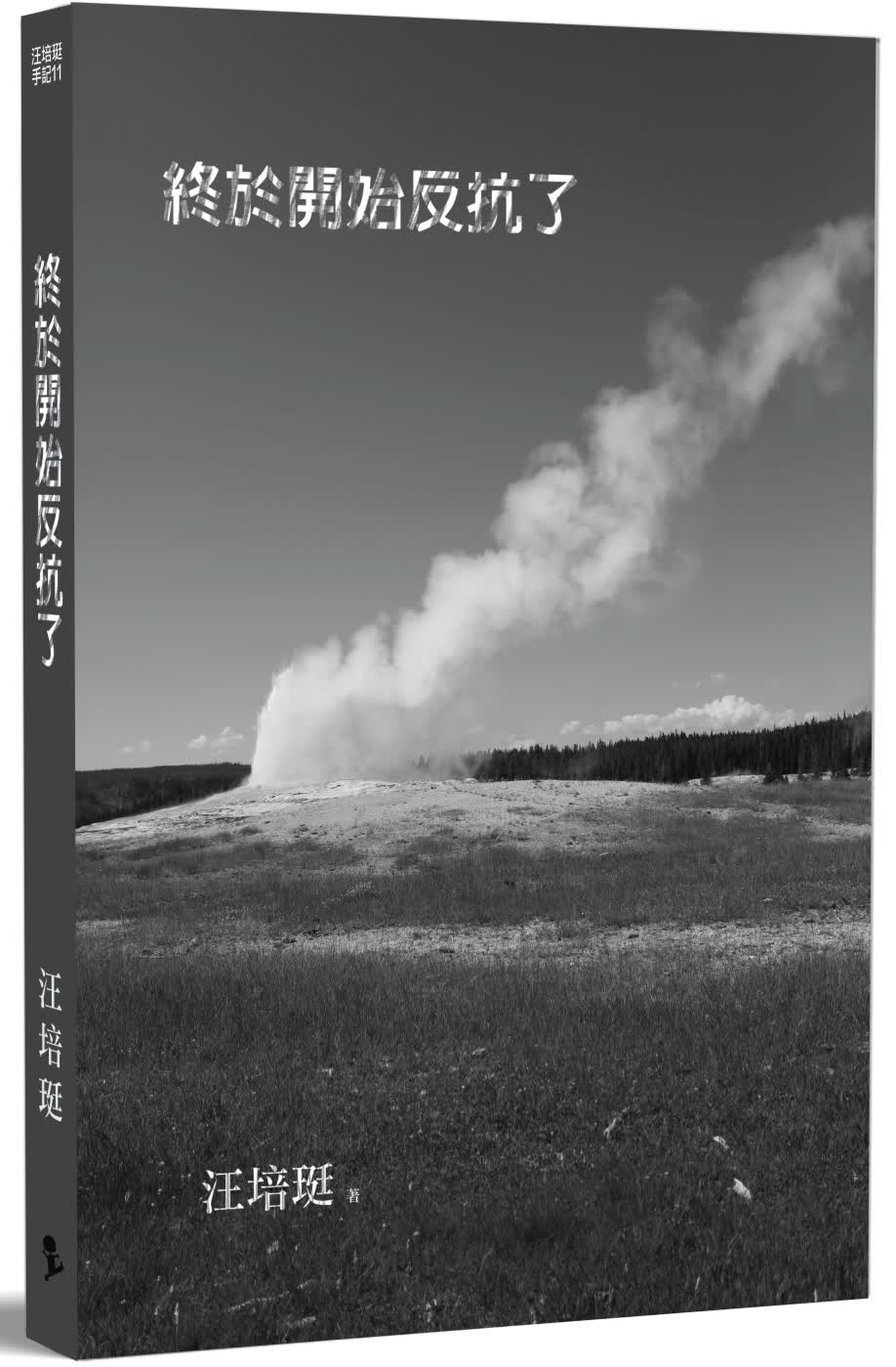 预售 汪培珽 终于开始反抗了：汪培珽手记11 爱孩子爱自己怎么看?