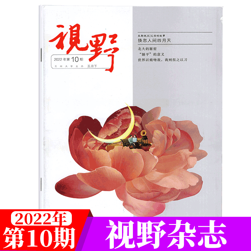 视野杂志 2022年第10期