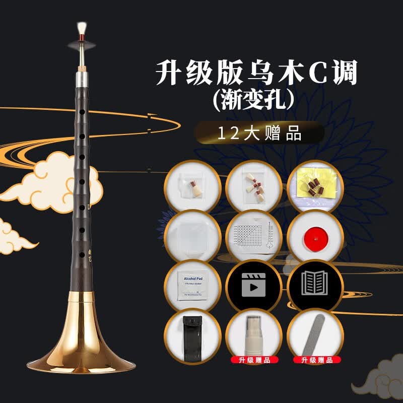 新艺乌木唢呐演奏专业黑檀木唢呐乐器全套初学者入门大小号喇叭 【升级款】乌木C调黄碗+12大赠品属于什么档次？