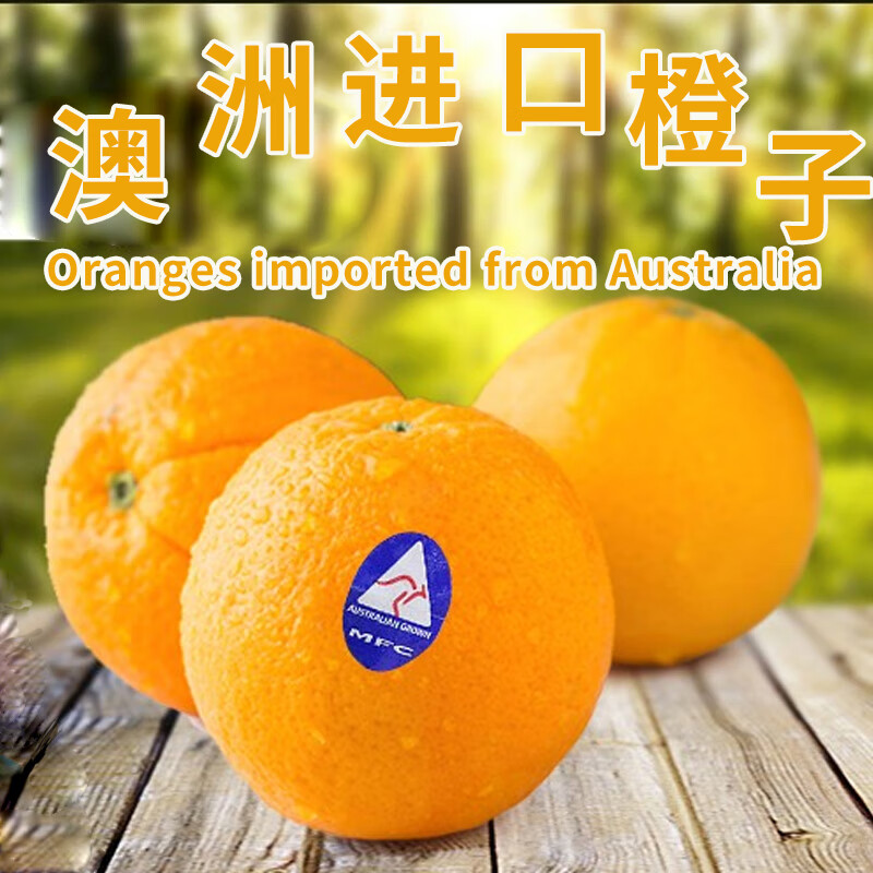 正宗澳橙澳洲进口甜橙5斤孕妇水果特大果新鲜现摘香橙手剥脐橙子 澳洲