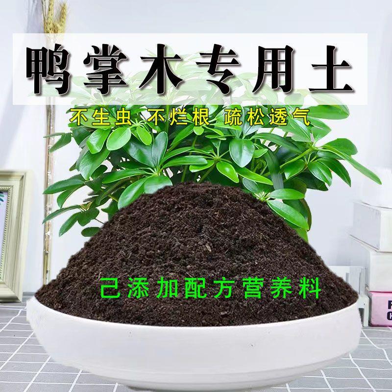 花土种花鹅掌木营养土壤养花通用种植土透气肥料 鸭掌木严选专用土5斤