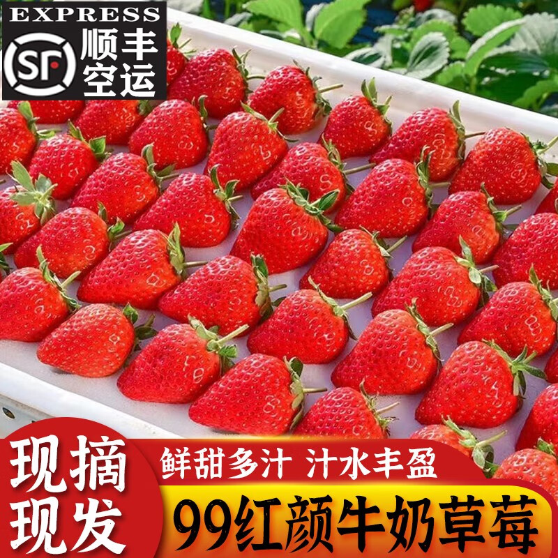 草莓历史价格查询软件哪个好用|草莓价格走势