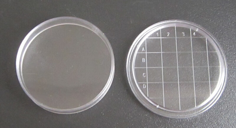 55mm可重复使用接触碟接触皿培养皿表面皿表面微生物取样用 透明
