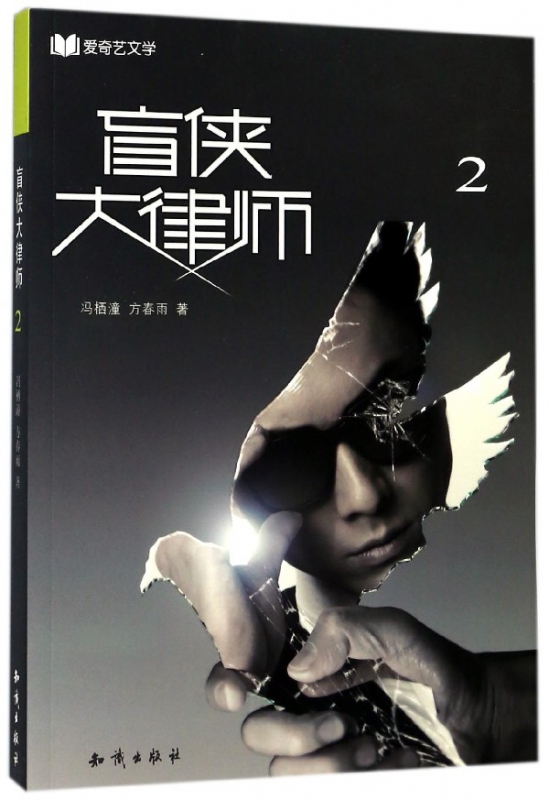 盲侠大律师(2)