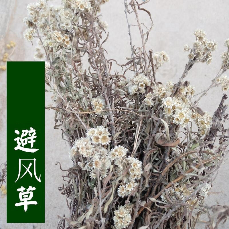 避风草 山萩 九顶艾 九头艾 珠光香青大火草 牛舌草250克定制 避风草