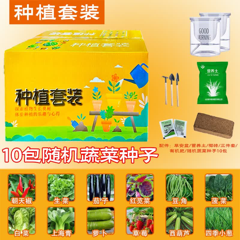 观察套装种子蔬菜水果菜园种花迷你绿植温室植物园 10种盲盒种子套装