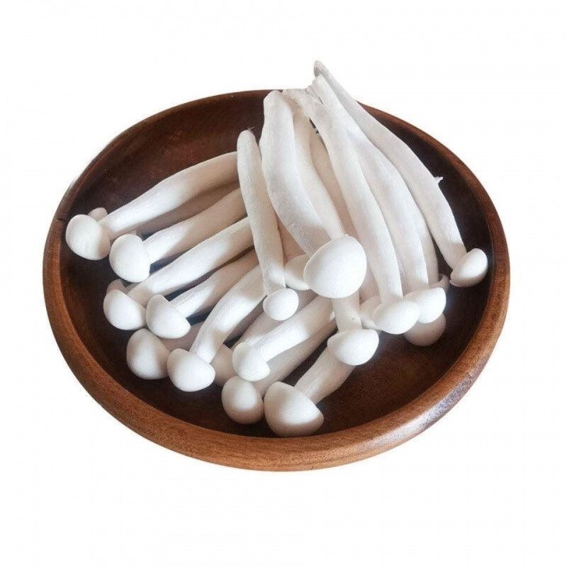 禧利郎新鲜海鲜菇食用菌菇白玉菇生鲜 3斤装 鲜 3斤装